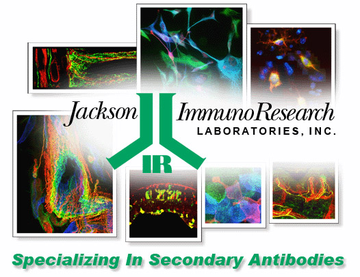 Jackson ImmunoResearch原装进口大包装酶标二抗热销中