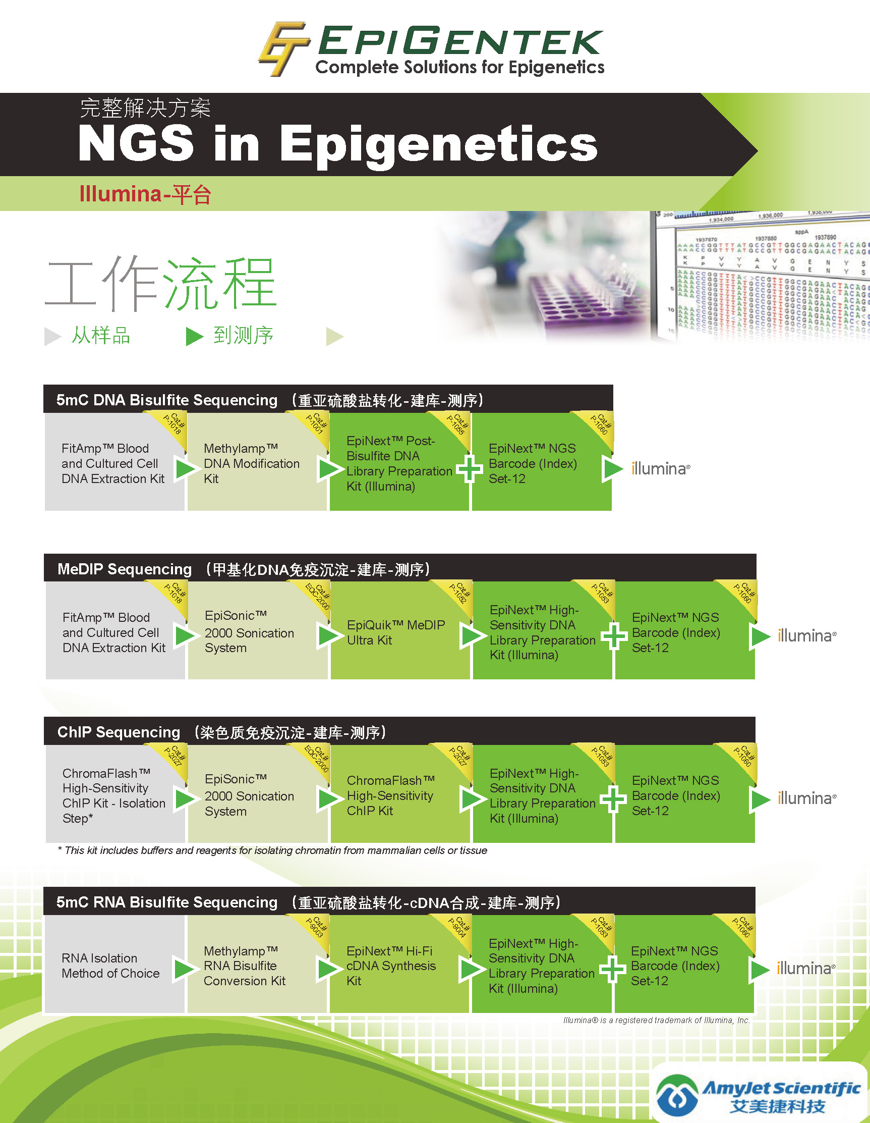 NGS 完整解决方案 在Epigentek_页面_1.jpg