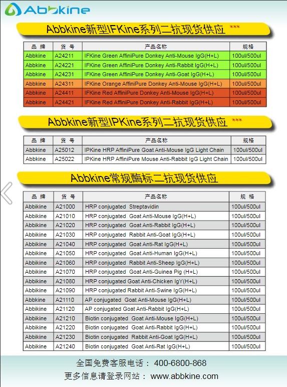 Abbkine常规二抗及标签和内参抗体2013产品应用手册