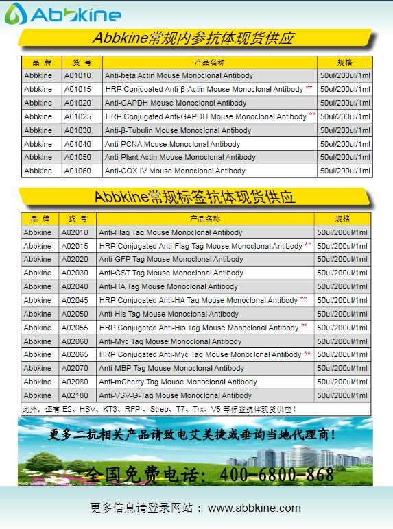 Abbkine常规二抗及标签和内参抗体2013产品应用手册