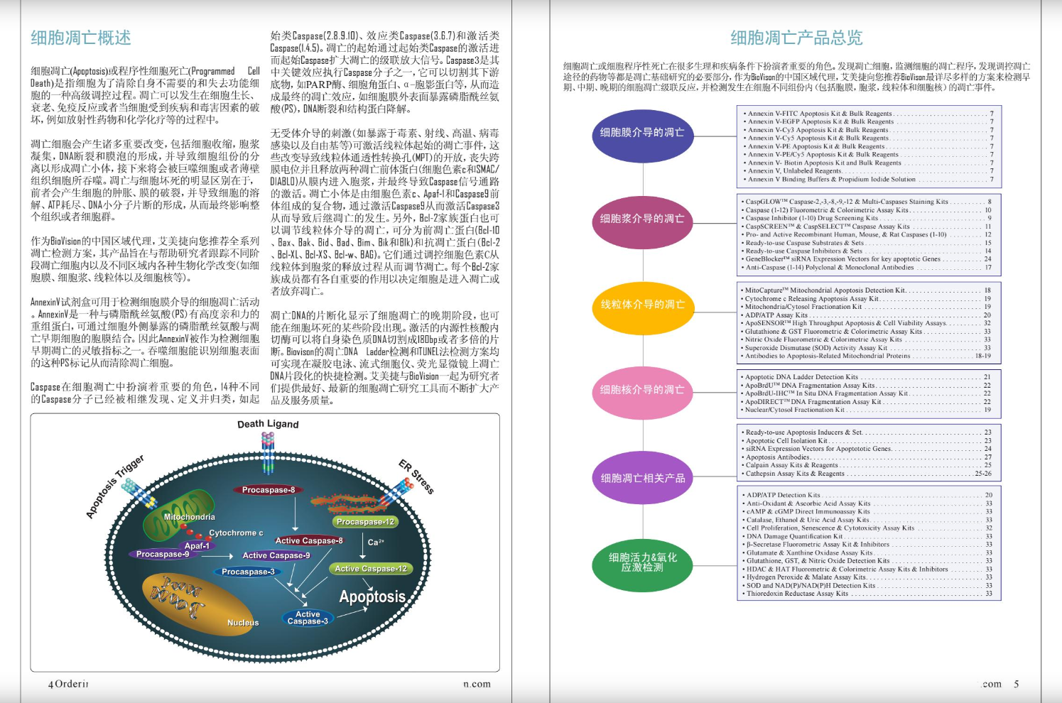 细胞凋亡&活力&氧化应激检测方案