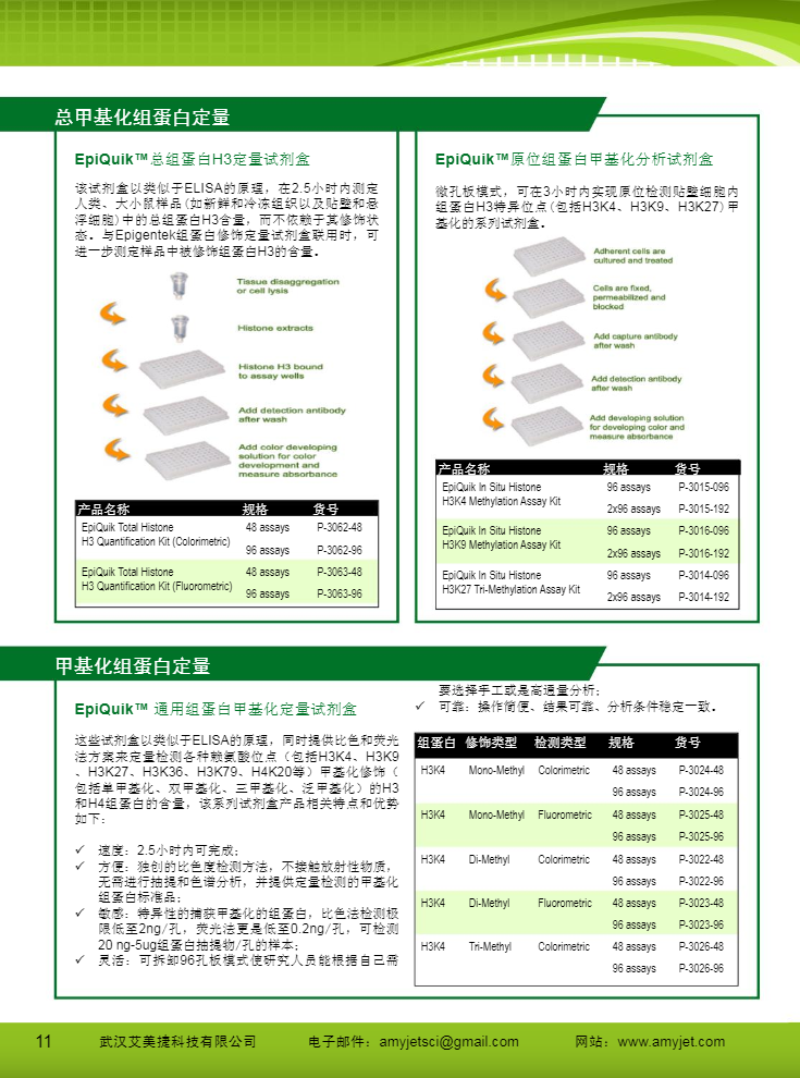 表观遗传研究方案产品折页