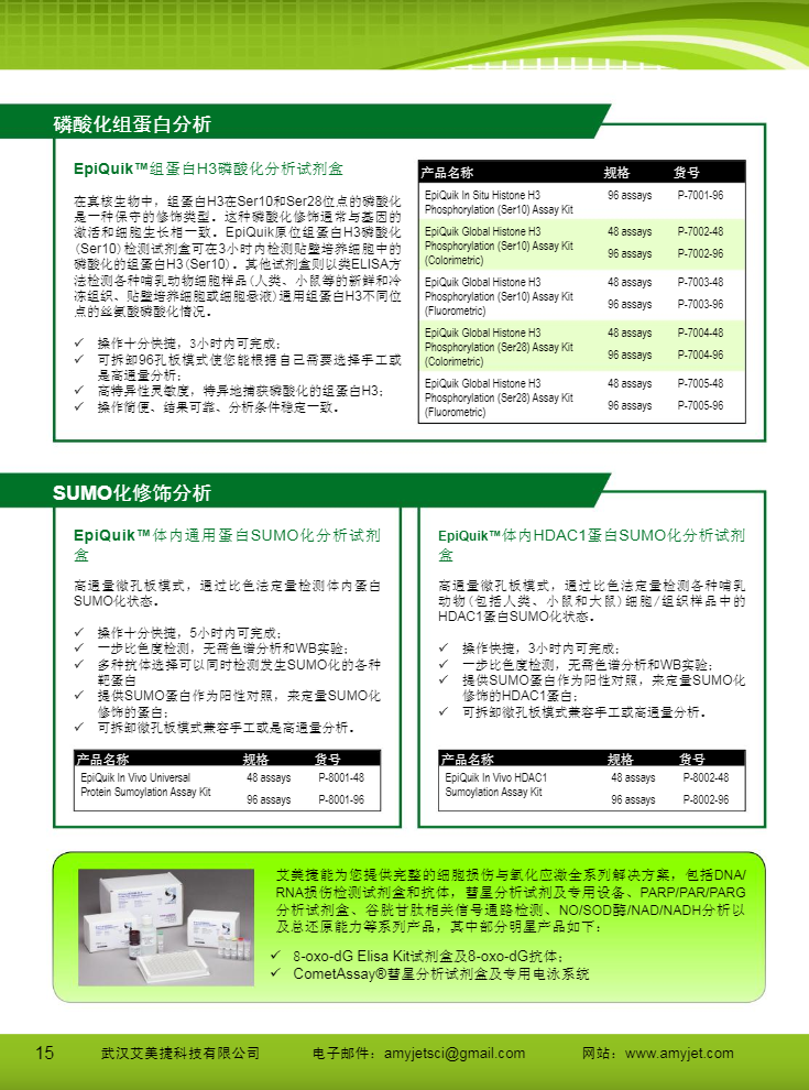 表观遗传研究方案产品折页