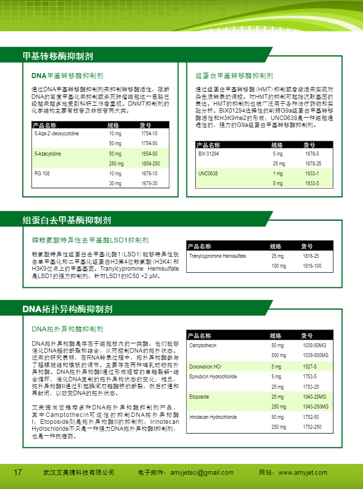 表观遗传研究方案产品折页