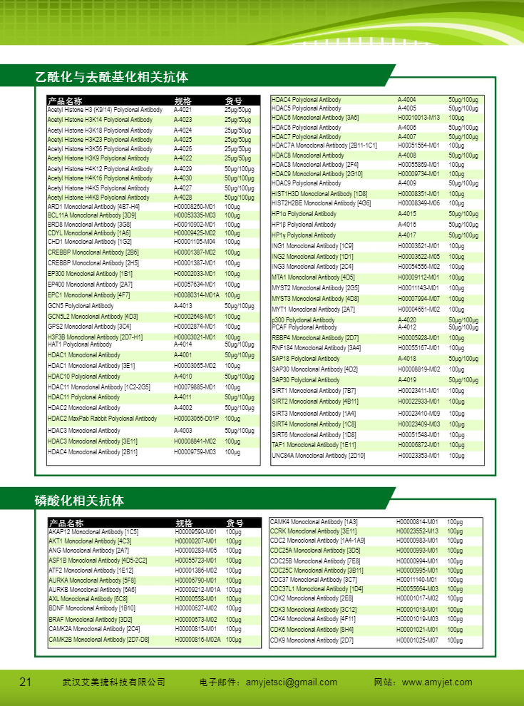 表观遗传研究方案产品折页