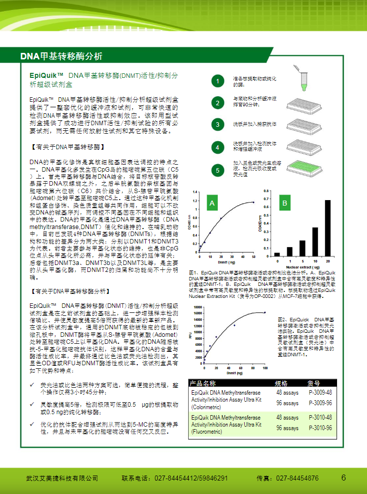 表观遗传研究方案产品折页