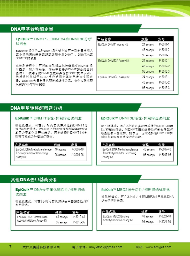 表观遗传研究方案产品折页