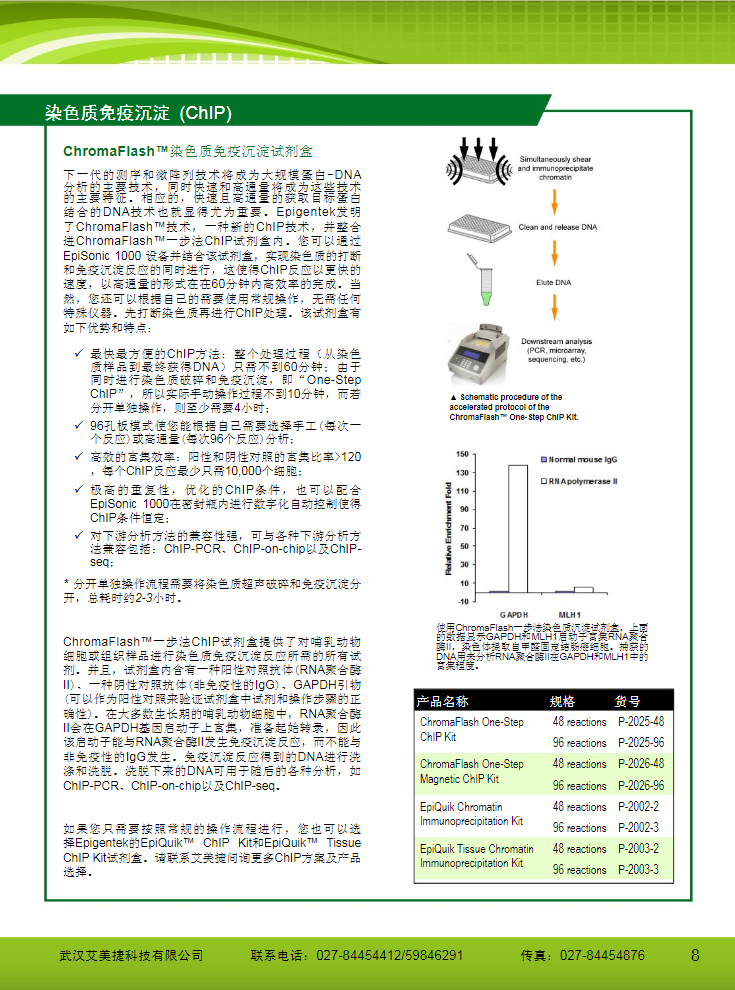 表观遗传研究方案产品折页