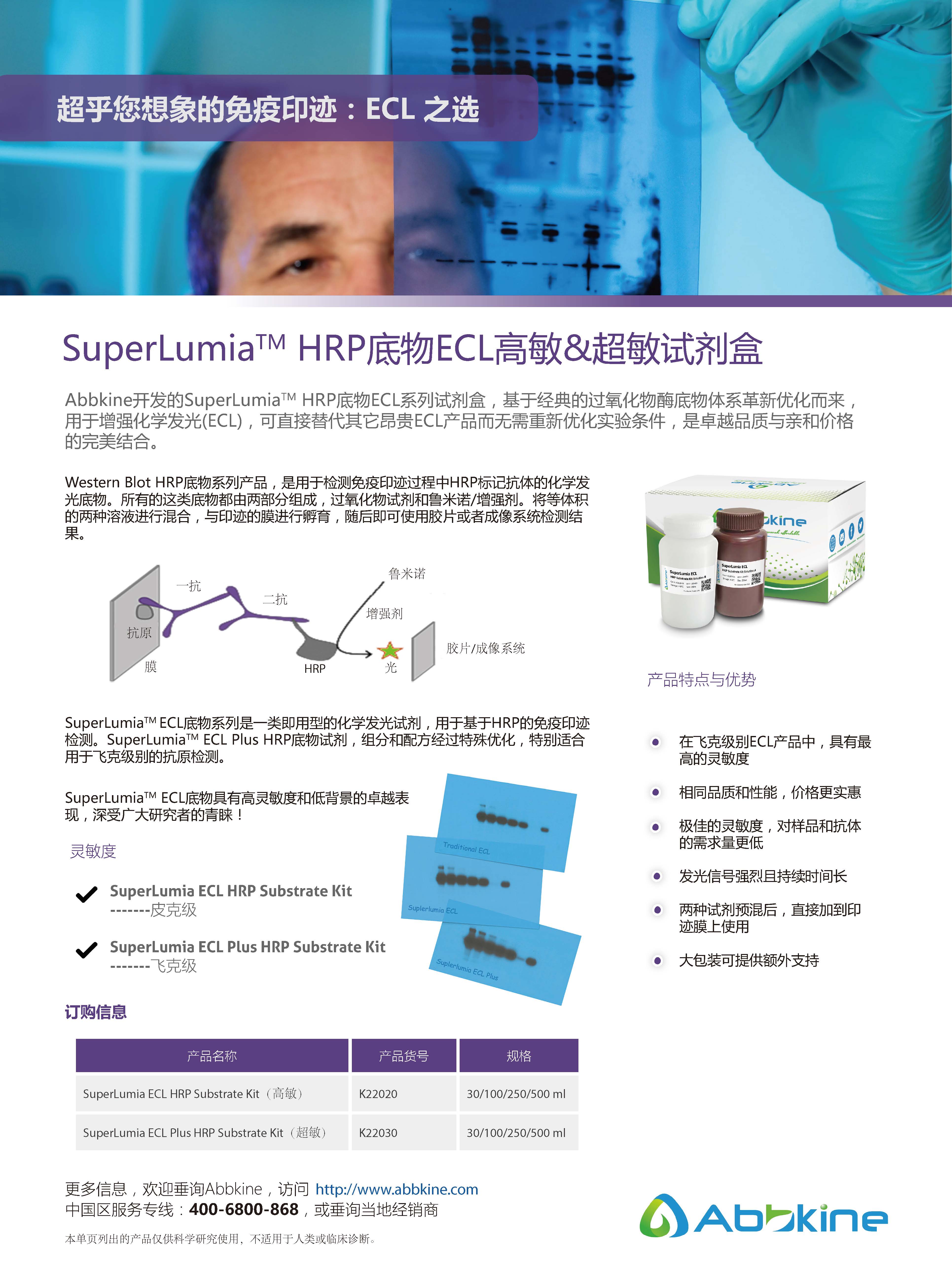 SuperLumia HRP底物ECL高敏&超敏试剂盒-产品手册