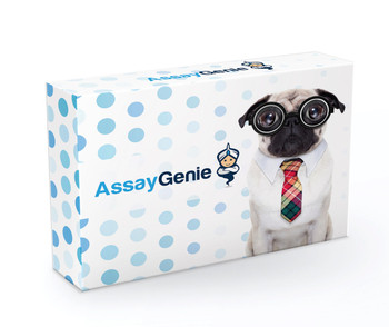 Assay Genie代理品牌生物科研试剂