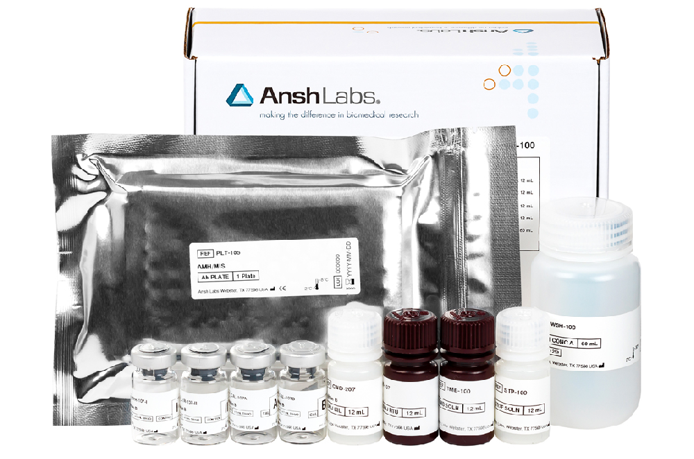 Ansh Labs-1.png