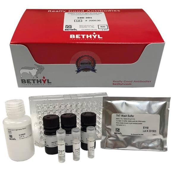 Bethyl Laboratories-2.png