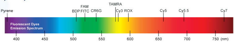 BroadPharm-5.png