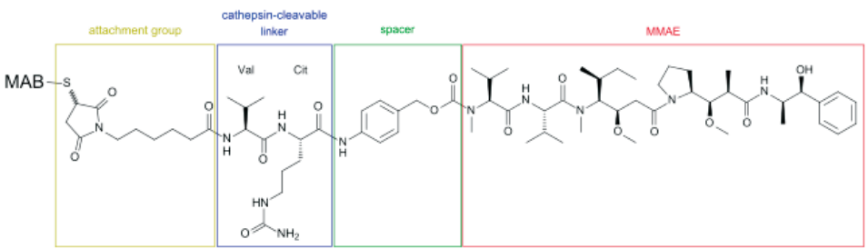 BroadPharm-6.png