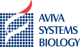 Aviva Systems Biology-1.png
