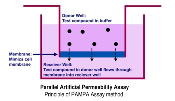 BioAssay Systems-2.png
