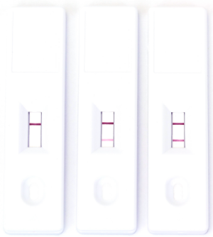 nanoComposix-5.png