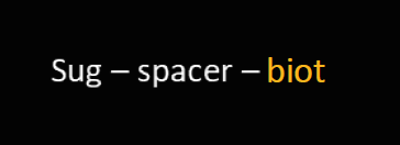 BM.png