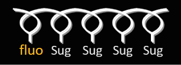 FP.png
