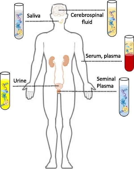 液体活检（Liquid biopsy）