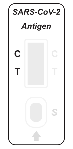 sars-cov-2-antigen3.png