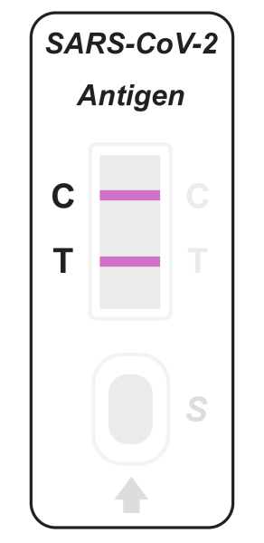 sars-cov-2-antigen.png