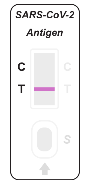 sars-cov-2-antigen2.png