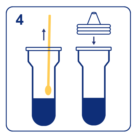 antigen-dectection3.png