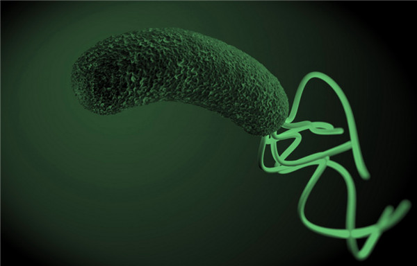 Helicobacter-pylori.jpg