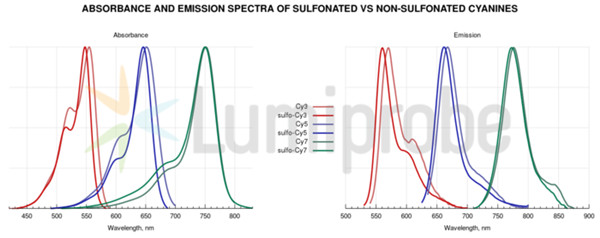 磺化与非磺化花青标记时的区别.jpg
