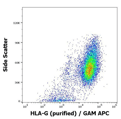 Flow cytometry: HLA-G (2A12).png