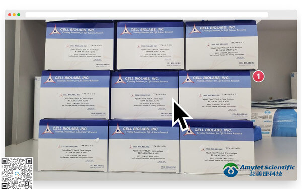 QuickTiter 小鼠白血病病毒（MuLV）核心抗原ELISA检测试剂盒.jpg