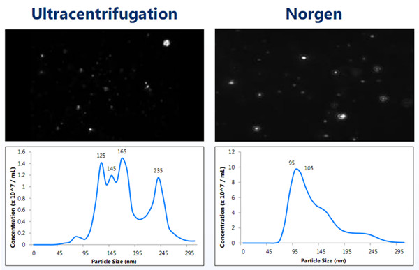 完整外泌体与使用超速离心发对比.jpg