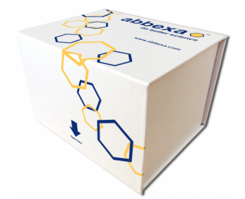 Abbexa品牌的多巴胺研究相关的ELISA试剂盒.png