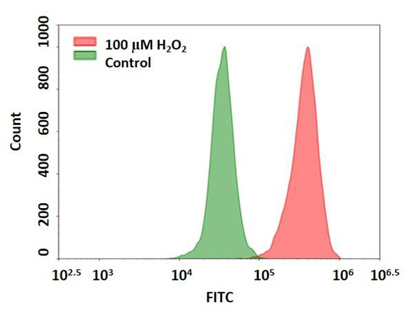 Cell Meter 细胞内荧光过氧化氢检测试剂盒.jpg