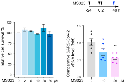 SARS-CoV-2的组蛋白甲基化也表现出一定的表观遗传靶点.png