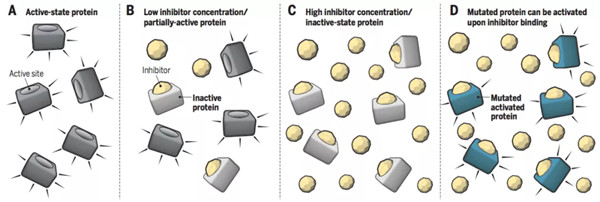 传统小分子抑制剂的“占据驱动”模式.jpg