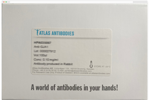 Atlas AntibodiesATRX多克隆抗体.jpg