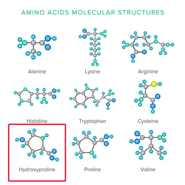 羟脯氨酸.jpg