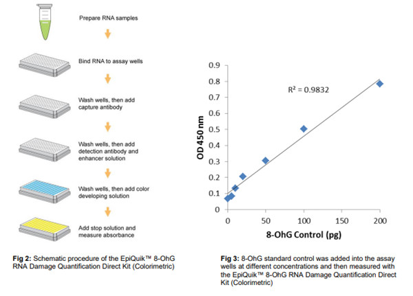 8-OhG RNA 损伤直接定量试剂盒（比色法）