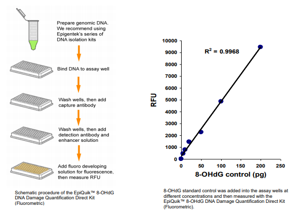 P-6004:8-OHdG DNA损伤直接定量试剂盒