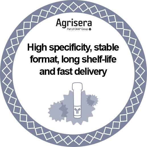 Agrisera抗体形式、保质期和运输