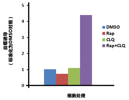 荧光酶标仪分析