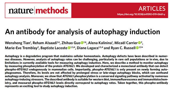 CYTO-ID自噬检测试剂盒 2.0文章鉴赏