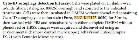 CYTO-ID自噬检测试剂盒 2.0，ENZ-KIT175，Nature/Cell文章鉴赏