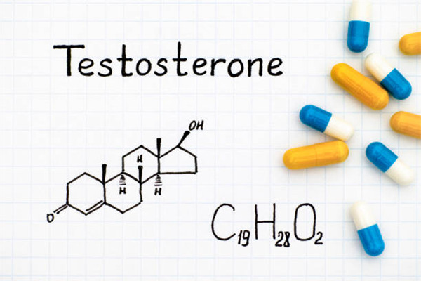 睾酮（Testosterone）检测试剂盒