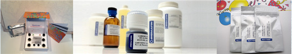 睾酮（Testosterone）抗体、偶联物以及检测试剂盒