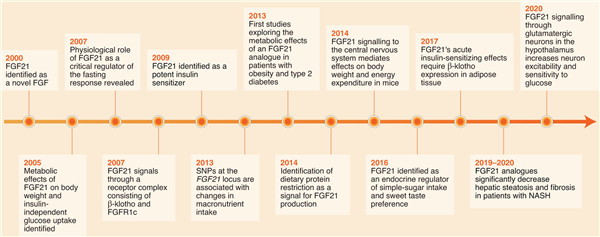 FGF21成纤维细胞生长因子21