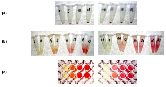 Sircol-Insoluble-Collagen-Assay-1检测结果