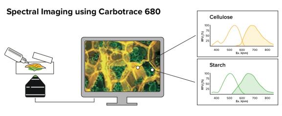 Ebba Biotech荧光示踪剂